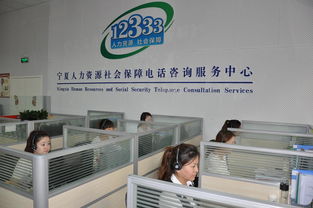 宁夏人力资源社会保障12333电话咨询服务机构实体化建设迈出关键一步